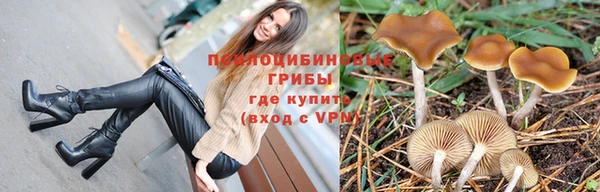 ешки Алексеевка