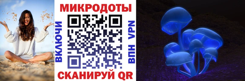 как найти   Белоозёрский  Галлюциногенные грибы Psilocybine cubensis 